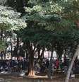 Usuários de drogas se concentram na Praça Princesa Isabel, após ações de desocupação da Cracolândia  Foto: Agência Brasil