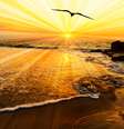  Foto: Mexitographer  / iStock
