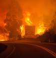 Incêndio em Portugal  Foto: WILDFIRES / EFE