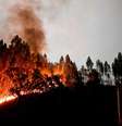 Encêndio em Portugal  Foto: BBC News Brasil