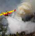 Avião combate incêndio florestal em Portugal  Foto: EFE