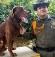Marin e Choko  Foto: BBC News Brasil