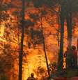 Incêndio em Portugal  Foto: BBC News Brasil