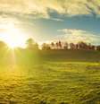 Campo em dia de sol  Foto: BBC News Brasil
