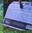 Polícia de Thames Valley deixou recado espirituoso em plantação de maconha   Foto: BBCBrasil