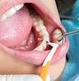  Foto: Shutterstock