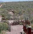 Barreira para veículos na fronteira entre EUA e México perto de Saguaro, em reserva florestal no Estado do Arizona 06/04/2017 REUTERS/Rick Wilking  Foto: Reuters
