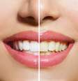  Foto: Shutterstock
