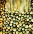 Laranjas são carregadas em caminhão em fazenda em Limeira 13/01/2012REUTERS/Paulo Whitaker  Foto: Reuters