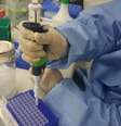Em mais de 99% dos testes a produção do vírus diminuiu com a 6MMPr, usando diferentes dosagens e tempos de reação  Foto: Agência Brasil
