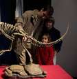 Do tamanho de um cachorro grande: o chilesaurus foi descoberto na América do Sul   Foto: BBC News Brasil