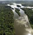 Amazônia brasileira  Foto: BBC News Brasil