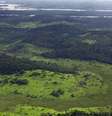Floresta Amazônica  Foto: BBC News Brasil