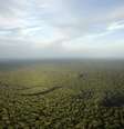 Visão aérea da Amazônia 10/01/2015 REUTERS/Bruno Kelly   Foto: Reuters