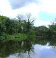 Um dos acessos à Reserva do Rio Iratapuru, no Amapá, parte da Renca   Foto: WWF-Brasil / Luiz Coltro
