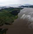 Extinção de reserva na Amazônia pegou ambientalistas e centros de pesquisa brasileiros de surpresa   Foto: MÁCIO FERREIRA/ AG. PARÁ/FotosPúblicas
