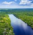 Rio em meio à floresta amazônica  Foto: BBC News Brasil