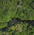 Reserva na Amazônia  Foto: BBC News Brasil