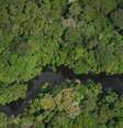Extinção de reserva foi promovida sem consulta ao Congresso e à sociedade civil  Foto: BBC News Brasil