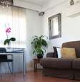 Plantas no apartamento deixam o ambiente mais alegre  Foto: Shutterstock