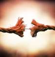  Foto: iStock