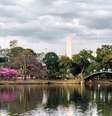 <p><strong>Parque do Ibirapuera</strong></p><p>Um dos pontos turísticos mais visitados de São Paulo é o <strong>Parque do Ibirapuera</strong>. São muitos e muitos metros de áreas verdes, jardins, espaços para se exercitar e admirar a bela paisagem. Para quem gosta de um passeio gratuito e de fácil acesso, o local é uma ótima opção. </p>  Foto: Shutterstock / Guia da Semana