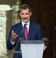 Felipe VI  Foto: Getty Images