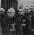 Gays em campo nazista  Foto: BBC News Brasil