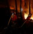 Bombeiros trabalham para apagar incêndio perto do município de As Neves, na Espanha 15/10/2017 Ministério de Defesa da Espanha/UME/Luismi Ortiz/Divulgação via REUTERS  Foto: Reuters