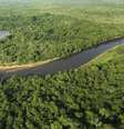 Pesquisadores temem que nova "Lei do Pantanal" aumente devastação do bioma   Foto: BBC News Brasil