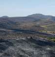 Área devastada por incêndio  Foto: BBC News Brasil
