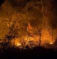 Incêndio que assola a Chapada dos Veadeiros desde o dia 17 de outubro foi criminoso  Foto: Agência Brasil