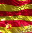 Bandeira da Espanha é estendida em manifestação em Barcelona  Foto: Reuters