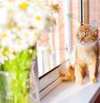  Foto: Aksenovko / iStock