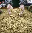 Funcionária seleciona grãos de soja em supermercado na província de Hubei, na China 14/04/2014 REUTERS/Stringer   Foto: Reuters