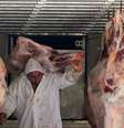 Trabalhador descarrega peças de carne em açougue em São Paulo 
27/07/2017 REUTERS/Paulo Whitaker  Foto: Reuters