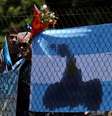 Flores e bandeiras são colocadas em cerca na base naval argentina em Mar del Plata
 25/11/2017    REUTERS/Marcos Brindicci  Foto: Reuters