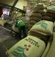 Trabalhador carrega sacas de 60 kg de café em armazém de café em Santos, no Brasil
10/12/2015
REUTERS/Paulo Whitaker  Foto: Reuters
