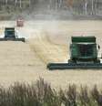 Máquinas colhem trigo em campo perto de Kulun, Rússia 
28/09/2017 REUTERS/Ilya Naymushin  Foto: Reuters