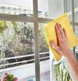     Foto: iStock