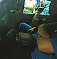 O ex-governador Anthony Garotinho foi preso no dia 22 de novembro  Foto: Agência Brasil