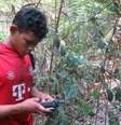 Nelison Saw Munduruku usa seu GPS para ajudar na demarcação das terras de Mangabal (Foto: Ailém Veiga)  Foto: BBC News Brasil