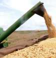 O ano de 2017 está sendo considerado excepcional para a agricultura brasileira  Foto: Agência Brasil