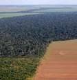 Vista aérea da Amazônia, no Brasil: Destruíção de áreas na floresta é apontada como "alarmante", mesmo com ritmo reduzido  Foto: Getty Images / BBC News Brasil