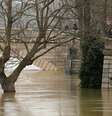 Parque às margens do Rio Sena fica inundado com a cheia do rio.  Foto: Reuters