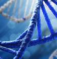 Cientistas italianos descobrem 'arma' contra DNA danificado  Foto: Ansa / Ansa - Brasil