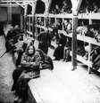 Auschwitz foi maior campo de concentração nazista  Foto: ANSA / Ansa - Brasil