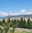 Cidade de Trieste multa em 500 euros quem sobre em árvore  Foto: ANSA / Ansa - Brasil