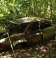 O Chevrolet Corvair que foi abandonado depois que teve problemas técnicos na selva | Foto: Camilo Estrada Isaza/BBC  Foto: BBC News Brasil