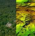 A cidade maia de Tikal estava rodeada de uma complexa rede de vias até então invisíveis| Foto: Wild Blue Media/Channel 4/National Geographic  Foto: BBC News Brasil